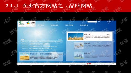 淘寶電子商務(wù)運營解決方案